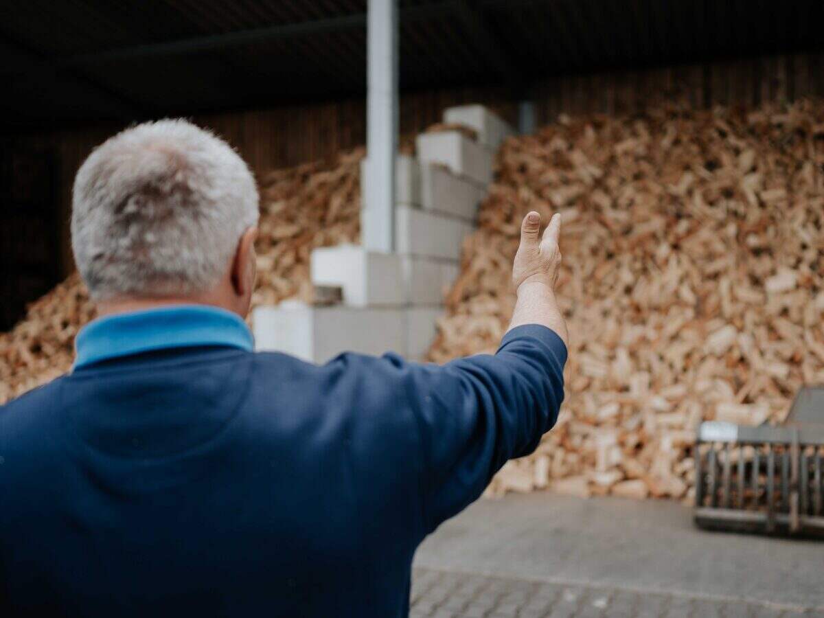 Blick auf den Holzvorrat